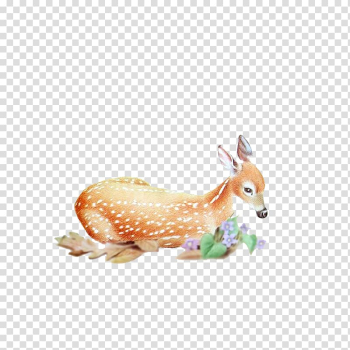Red deer Roe deer Elk, Deer transparent background PNG clipart Red deer Roe deer Elk, Deer transparent background PNG clipart