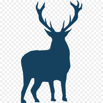 Red deer Silhouette Clip art - deer Red deer Silhouette Clip art - deer
