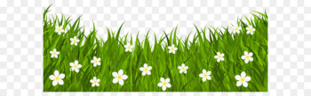 Red Easter egg Clip art - Grass Ground with Flowers PNG Clip Art Image 