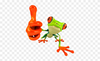 Red Eyed Tree Frog Clipart Transparent - Tree Frogs Red Eye Red Eyed Tree Frog Clipart Transparent - Tree Frogs Red Eye