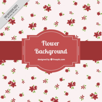 Red flower background Red flower background