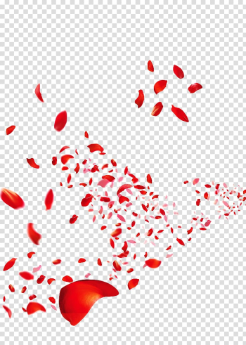 Red flower petals illustration, Beach rose Petal Flower , fly transparent background PNG clipart