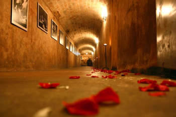 Red Flower Petals on Hallway Red Flower Petals on Hallway