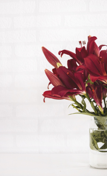 Red Flowers Red Flowers