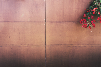 Red Flowers Red Flowers