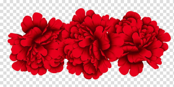 Red flowers illustrationb, Red Moutan peony, Peony transparent background PNG clipart