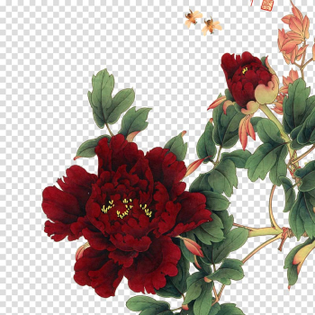 Red flowers, Moutan peony Flower , peony transparent background PNG clipart Red flowers, Moutan peony Flower , peony transparent background PNG clipart