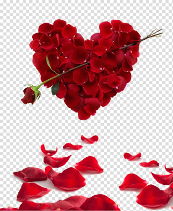 Red flowers , Rose Heart Flower Valentine's Day , petal,Heart transparent background PNG clipart