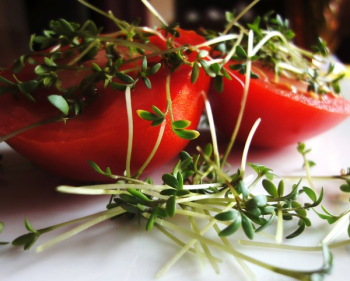 Red Food and Leaf Vegetable Red Food and Leaf Vegetable