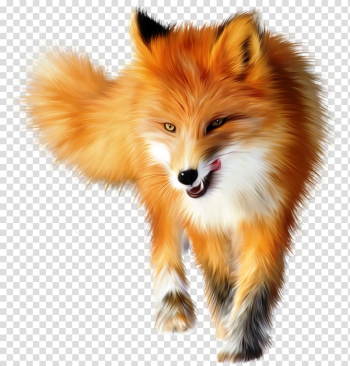 Red fox Arctic fox , forest animal transparent background PNG clipart Red fox Arctic fox , forest animal transparent background PNG clipart