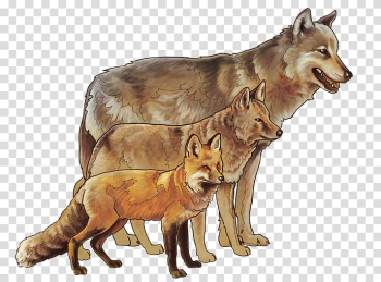 Red fox Coyote Siberian Husky Yellowstone National Park, fox watercolor transparent background PNG clipart