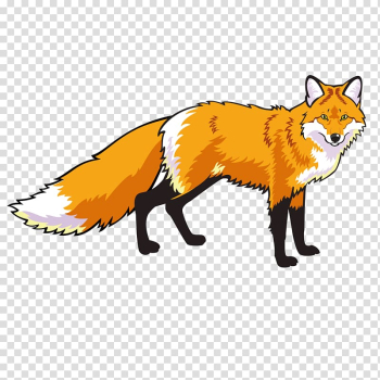 Red fox Drawing , fox transparent background PNG clipart Red fox Drawing , fox transparent background PNG clipart