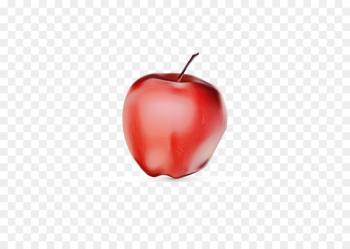 red fruit food apple plant red fruit food apple plant