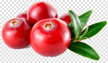 Red fruits, Cranberry , cranberry transparent background PNG clipart Red fruits, Cranberry , cranberry transparent background PNG clipart