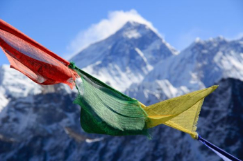 red, green, and yellow banner red, green, and yellow banner