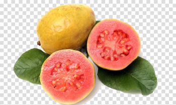 Red Guava PNG Download Image Red Guava PNG Download Image