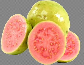 Red Guava PNG Free Download Red Guava PNG Free Download