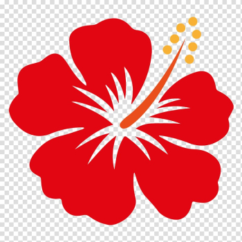 Red hibiscus flower illustration, Hawaii Shoeblackplant Flower , hibiscus transparent background PNG clipart