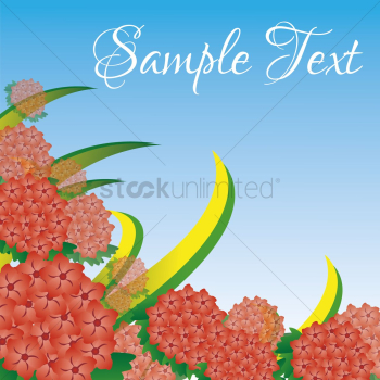 Red ixora