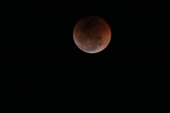 red moon red moon