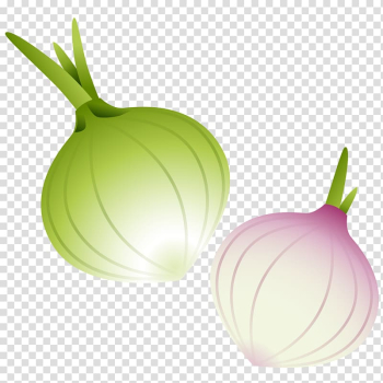 Red onion Vegetable, Hand-painted onion transparent background PNG clipart Red onion Vegetable, Hand-painted onion transparent background PNG clipart