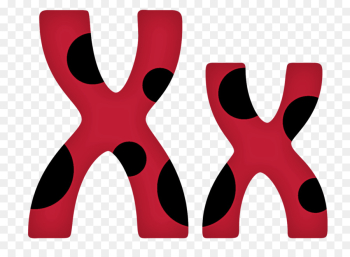 red pink text font logo red pink text font logo