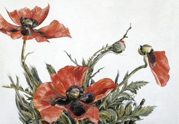 Red Poppies (1929) painting in high | Free Photo Illustration - rawpixel