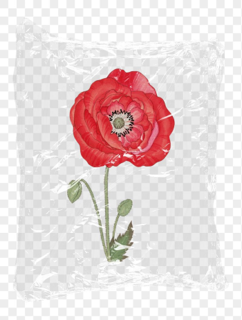 Red poppy png flower plastic | Free PNG - rawpixel