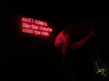 red quote neon sign red quote neon sign