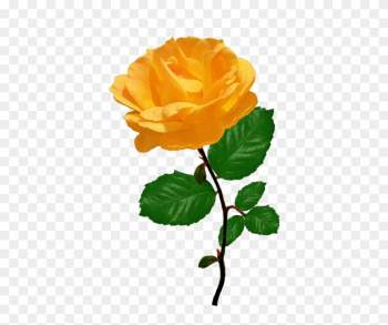 Red Red Rose Clipart, Orange Rose Clipart With Leaves - Orange Rose Clipart Red Red Rose Clipart, Orange Rose Clipart With Leaves - Orange Rose Clipart