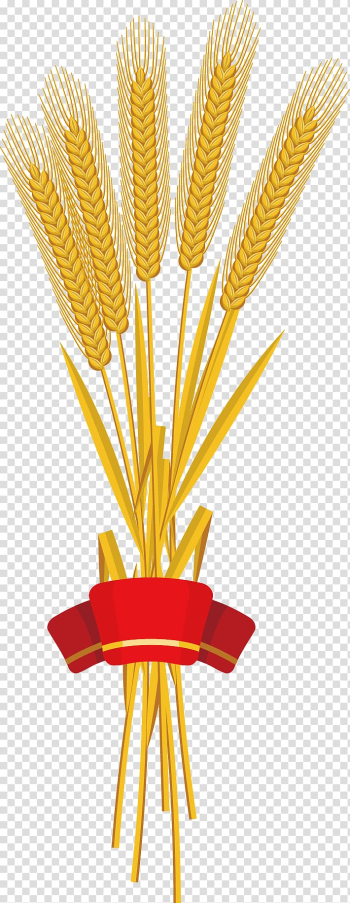 Red ribbon Wheat, Red ribbon wheat harvest transparent background PNG clipart Red ribbon Wheat, Red ribbon wheat harvest transparent background PNG clipart