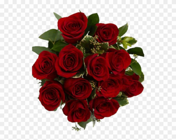 Red Rose Bouquet Red Rose Bouquet