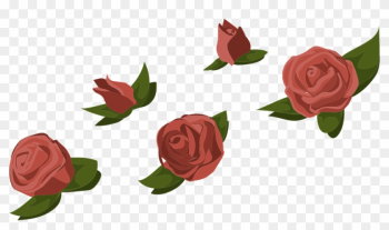 Red Rose Cartoon 16, - Rose Buds Transparent