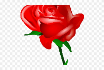 Red Rose Clipart Rad - Cartoon Red Rose Png Red Rose Clipart Rad - Cartoon Red Rose Png