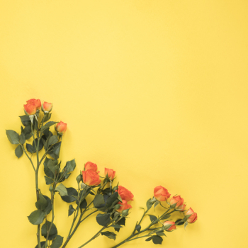 Red rose flowers on yellow table Red rose flowers on yellow table