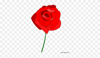 Red Rose Free Clip Art Image - Garden Roses