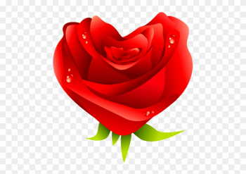 Red Rose Icon - Rose Red Rose Icon - Rose
