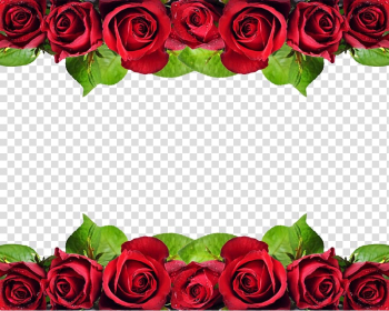 Red rose illustration border, Rose Flower , Rose background transparent background PNG clipart