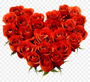 Red Rose Love Heart - Love Rose Flower Png Red Rose Love Heart - Love Rose Flower Png