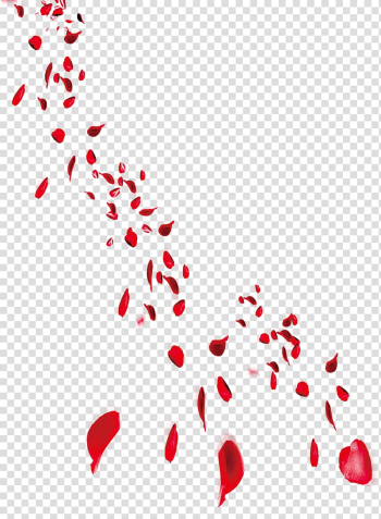 Red rose petals illustration, Petal, Creative beautiful petals falling transparent background PNG clipart