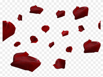 Red Rose Petals Png - Red Rose Petals Png Red Rose Petals Png - Red Rose Petals Png