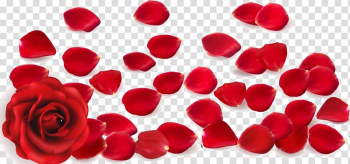 Red rose petals, Rose Petal , petal transparent background PNG clipart Red rose petals, Rose Petal , petal transparent background PNG clipart
