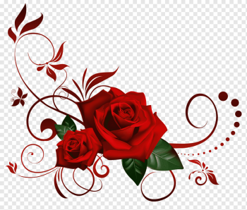 red rose, Rose, Rose Corner s, love, flower Arranging, presentation png