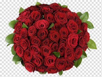 Red roses bouquet, Garden roses Flower bouquet Petal, A bouquet of roses transparent background PNG clipart