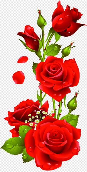 red roses illustration, Rose, Rose, love, flower Arranging, heart png red roses illustration, Rose, Rose, love, flower Arranging, heart png