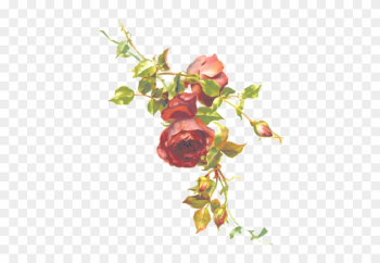 Red Roses On A Branch - Clipart Roses Red Roses On A Branch - Clipart Roses