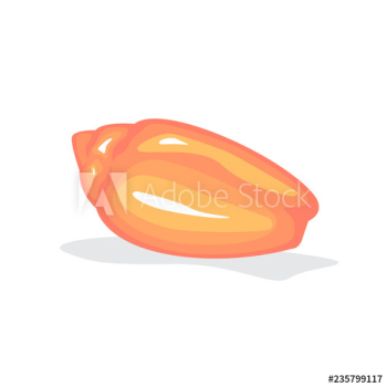 Red seashell Red seashell