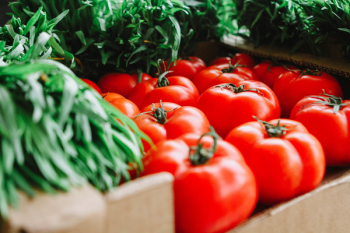 Red Tomatoes Red Tomatoes