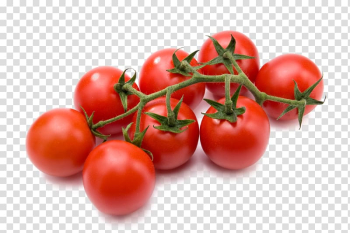 Red tomatoes illustration, Cherry tomato Vegetable Gratis, Fresh tomatoes transparent background PNG clipart