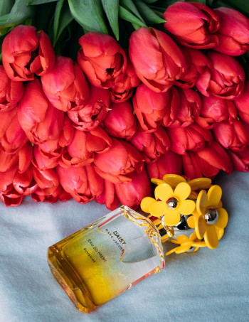 Red Tulips Near Perfume Bottle Red Tulips Near Perfume Bottle